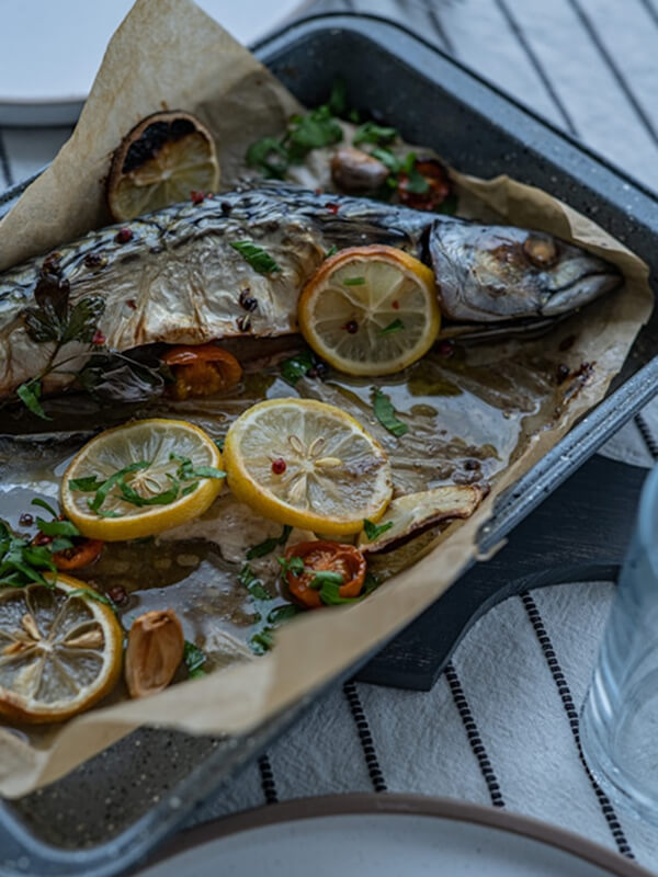 fish 